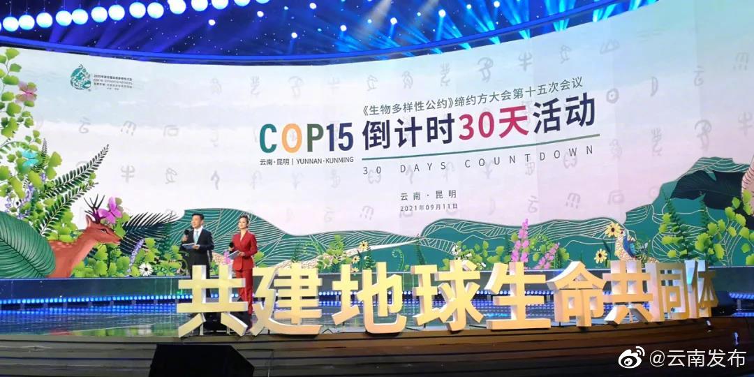 联动百家媒体！COP15倒计时30天活动有看头→