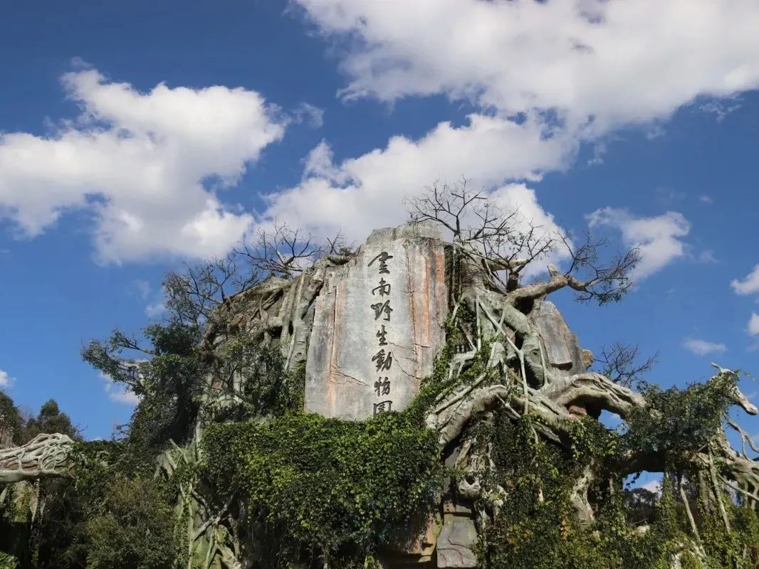 盘龙共青团(微信)