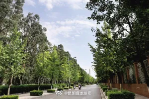 “昆明盘龙发布”微博