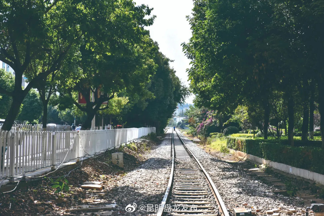 “昆明盘龙发布”微博