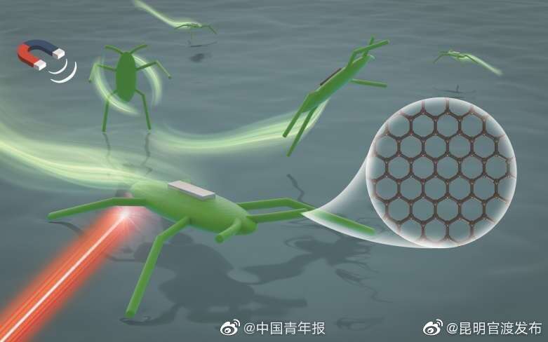 中国科学家成功研发仿水黾微型机器人 实现微型机器人在水面游动、跳跃、翻滚
