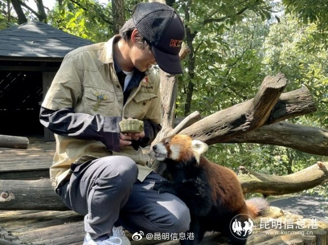 昆明信息港微博