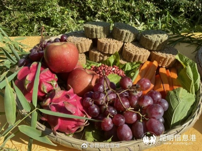 昆明信息港微博