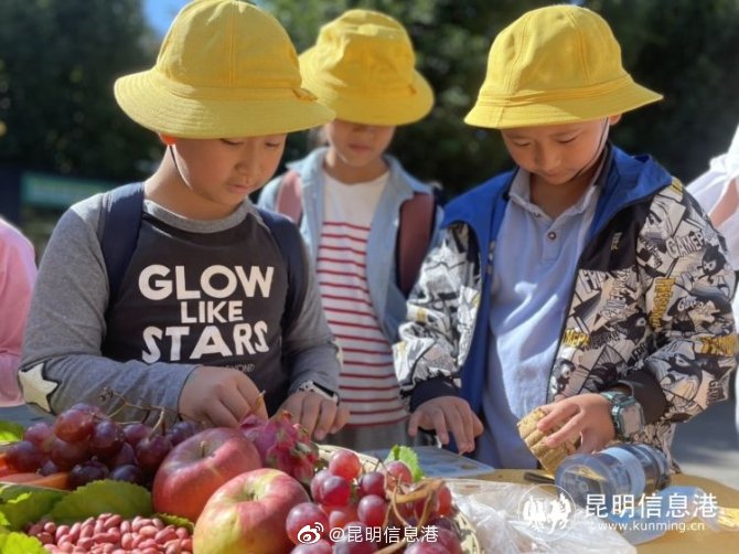 昆明信息港微博