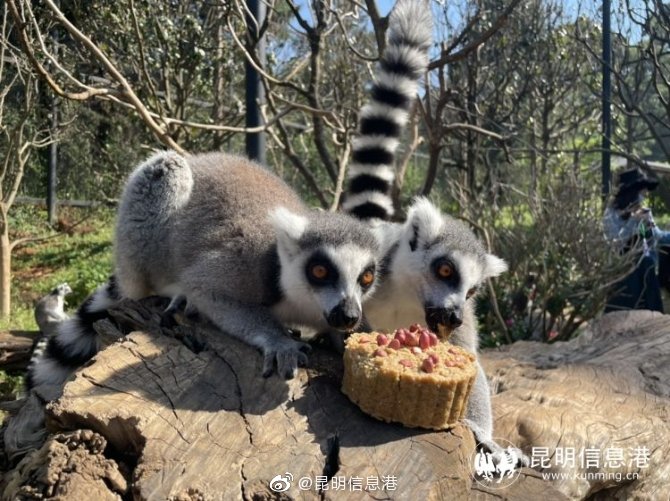 昆明信息港微博