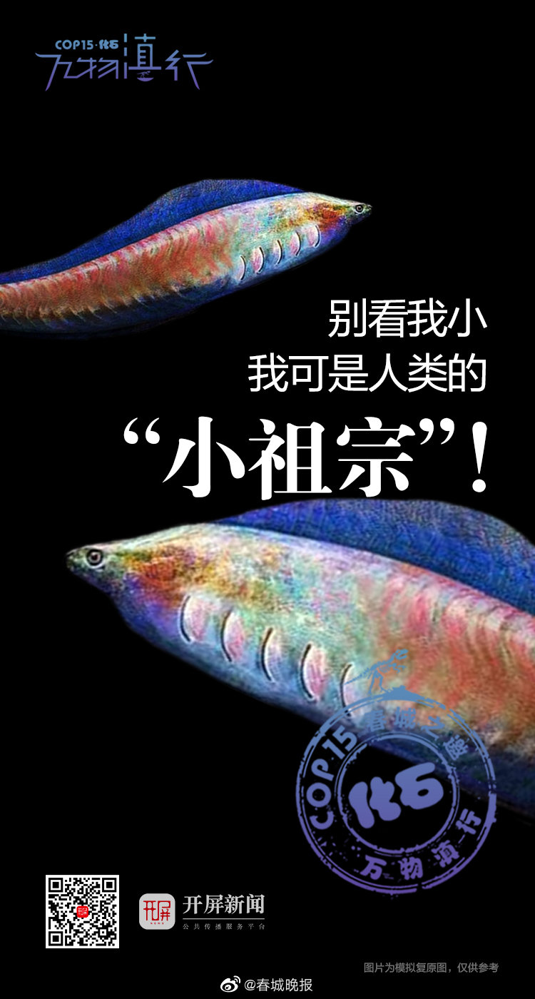 别看我小，我可是人类的“小祖宗”！