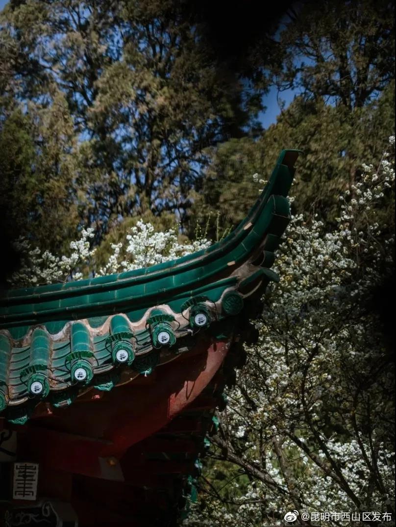 “昆明市西山区发布”微博