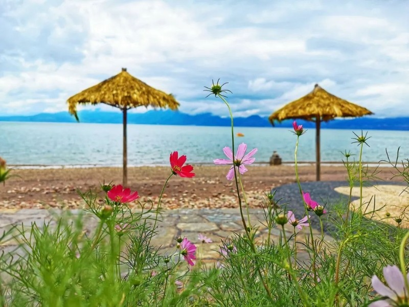 云南省文化和旅游厅