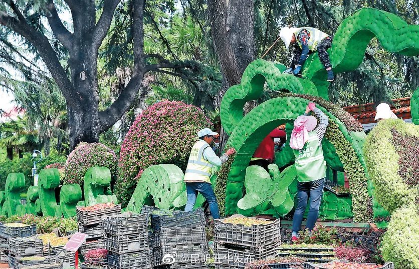 “昆明五华发布”微博