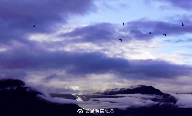 昆明信息港微博