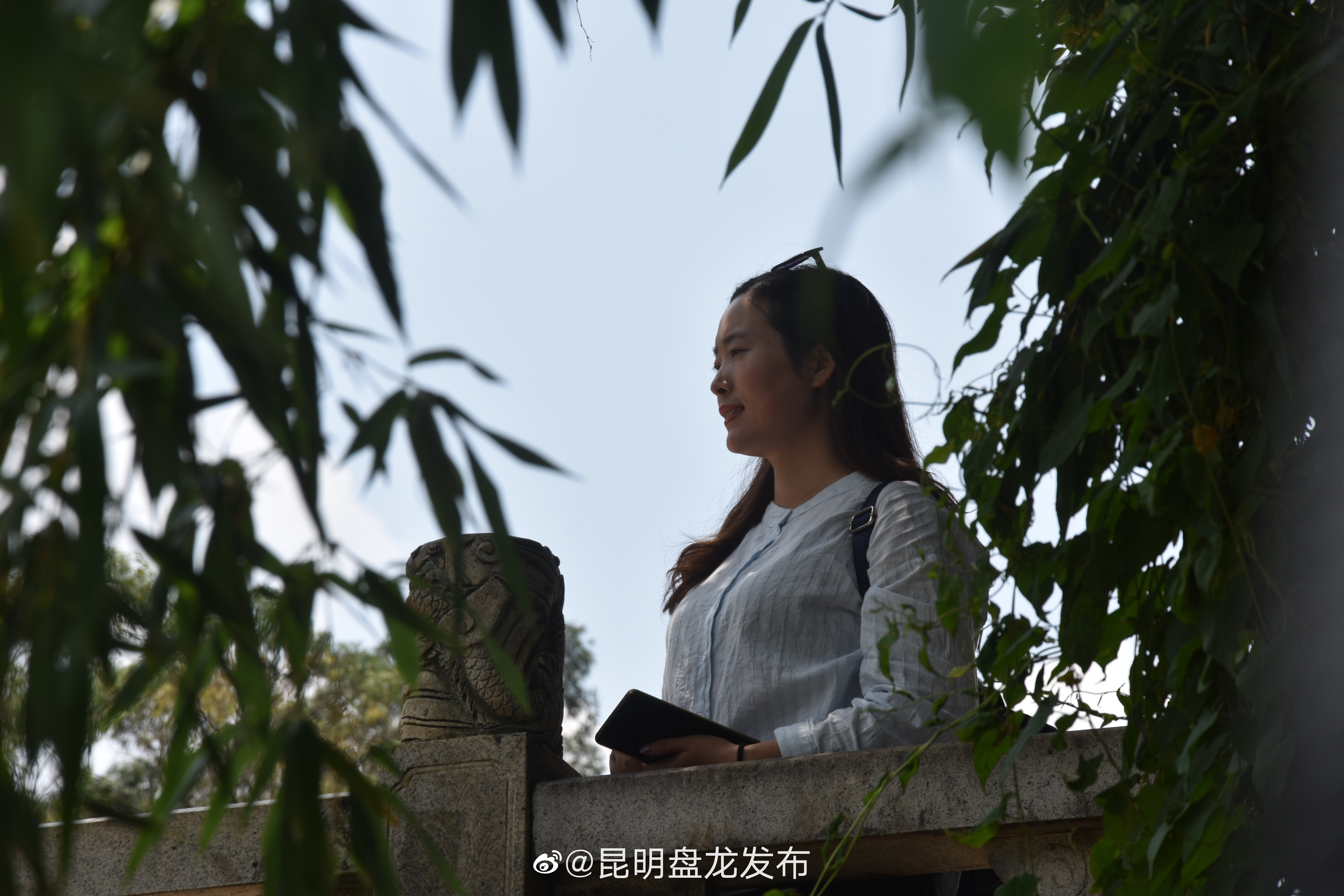 “昆明盘龙发布”微博