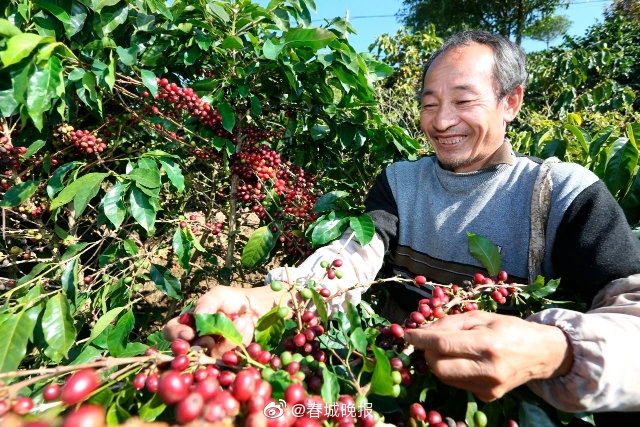 “三巨头”联合，将引领林产业迈向“千亿级”