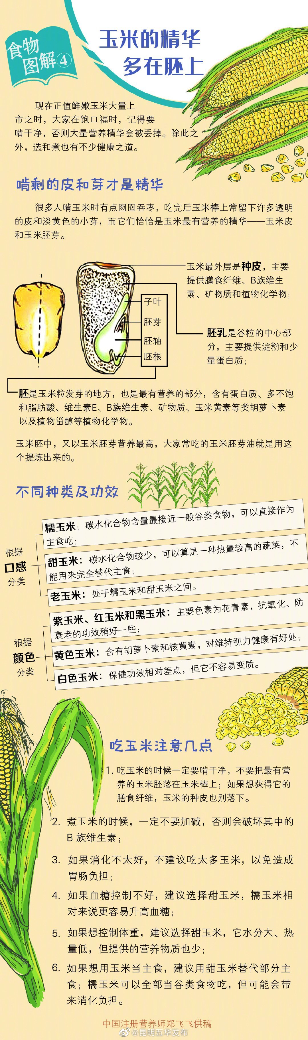 玉米上啃剩的皮和芽才是精华，吃不对整根都浪费