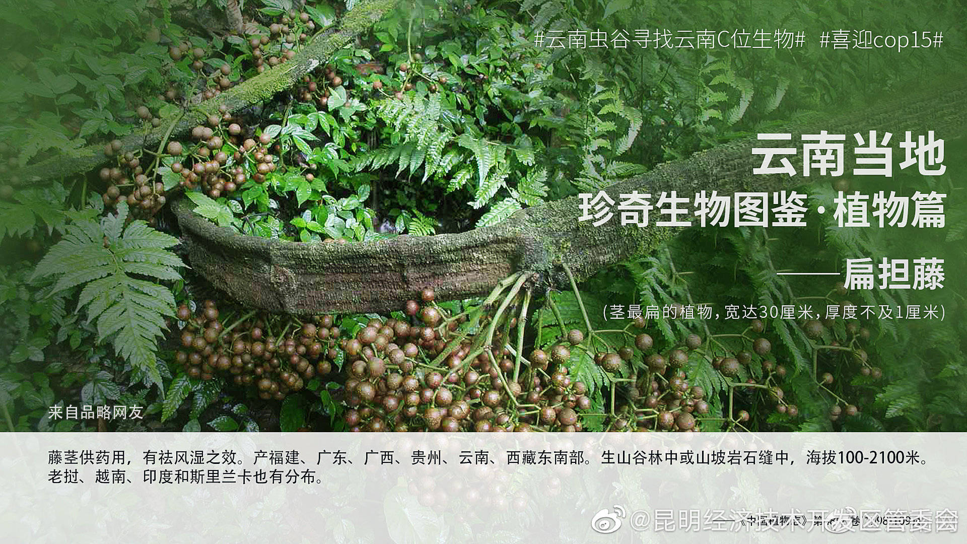 “昆明经济技术开发区管委会”微博