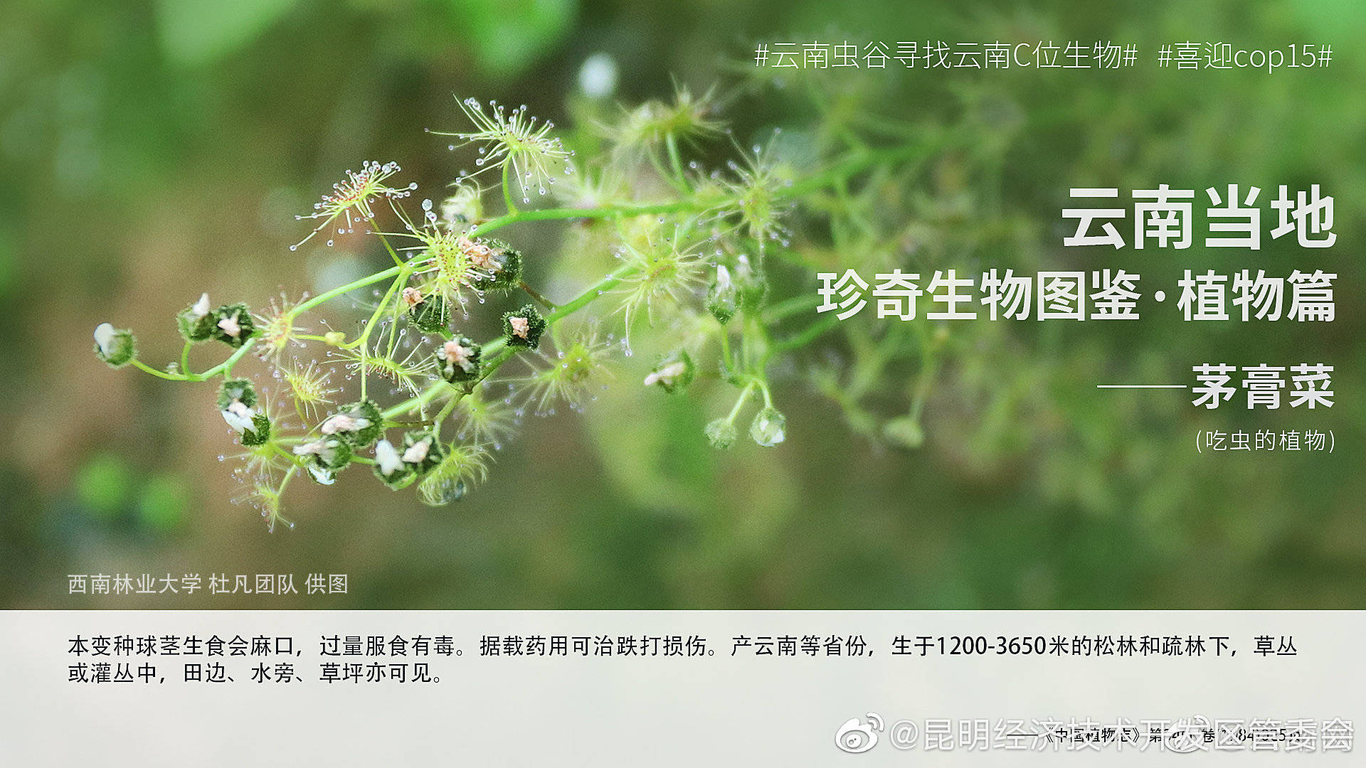 “昆明经济技术开发区管委会”微博