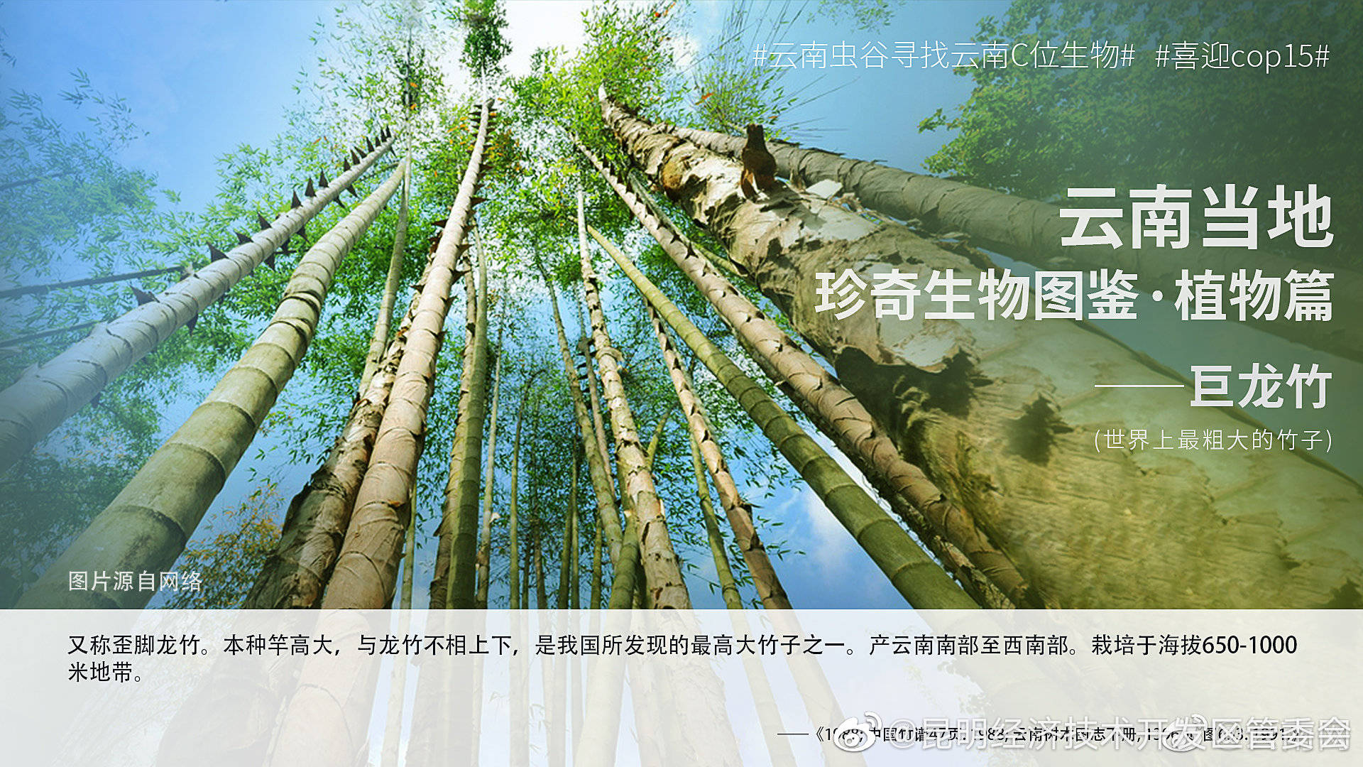 “昆明经济技术开发区管委会”微博