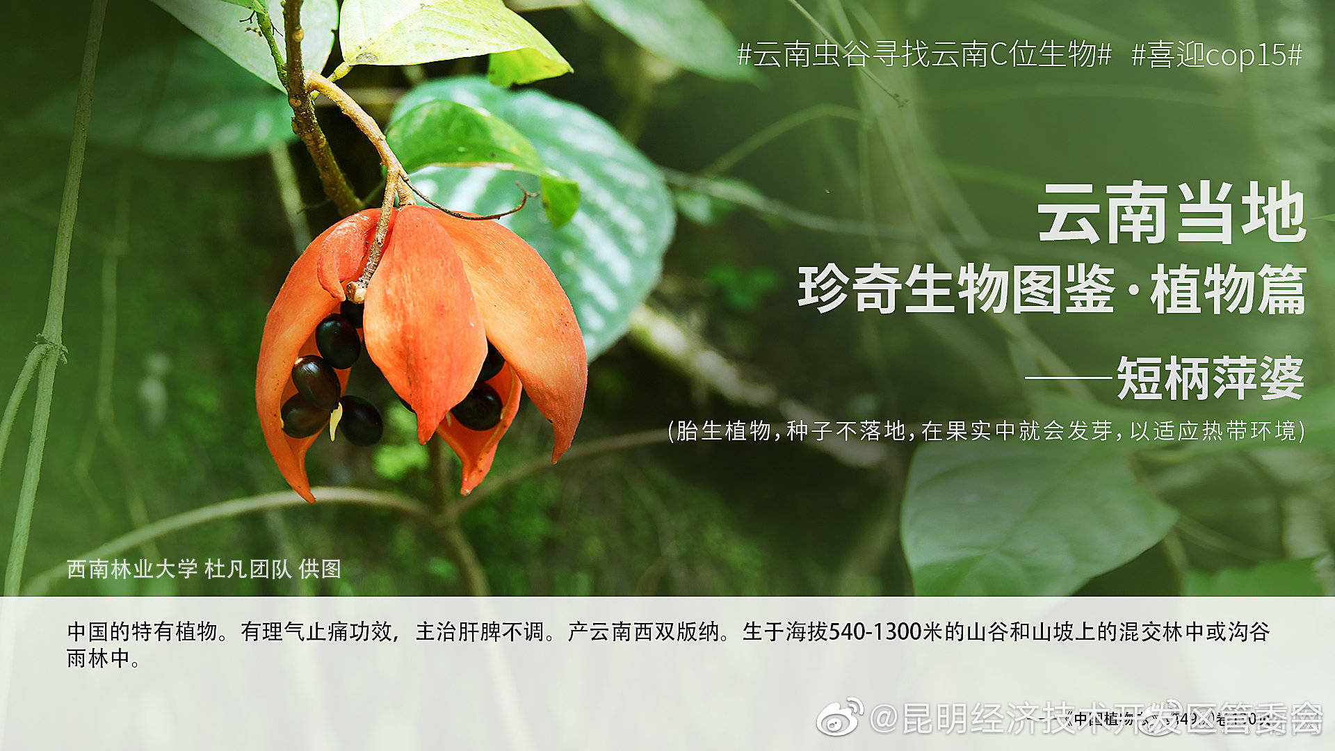 “昆明经济技术开发区管委会”微博