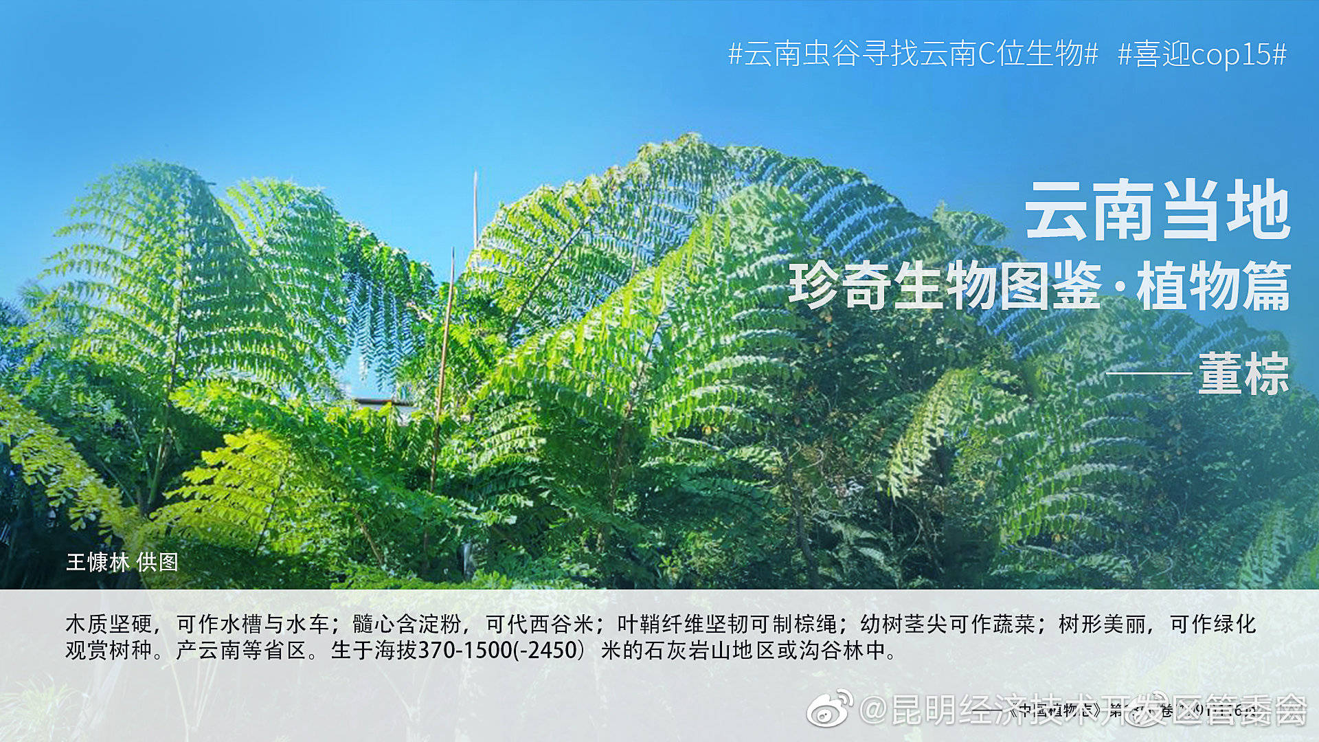 “昆明经济技术开发区管委会”微博