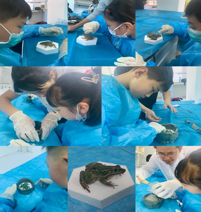 中国科学院昆明动物研究所