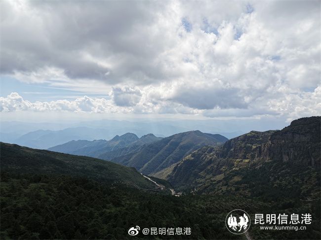 昆明信息港微博