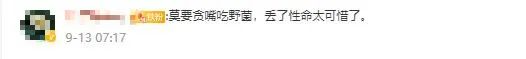 掌上春城(微信)
