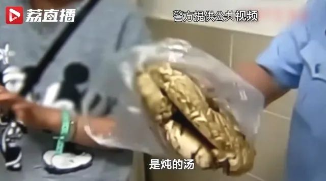 掌上春城(微信)