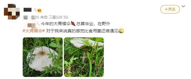 掌上春城(微信)