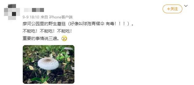 掌上春城(微信)