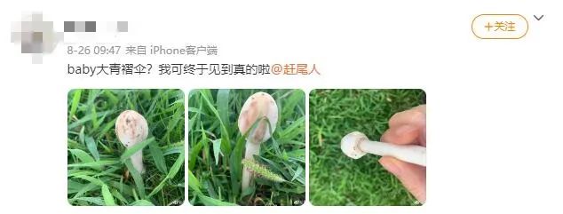掌上春城(微信)