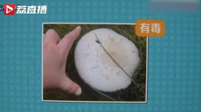 掌上春城(微信)