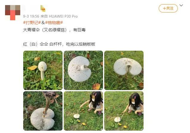 掌上春城(微信)