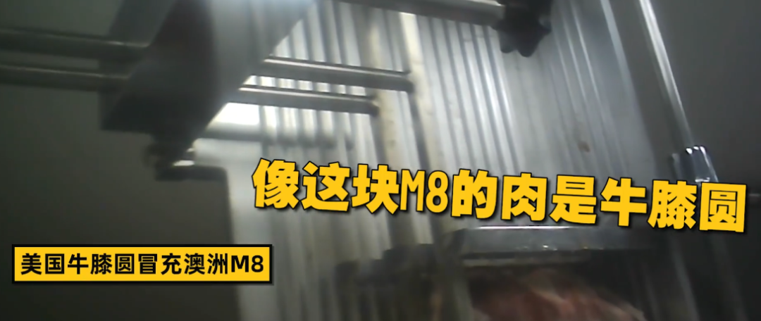 春城晚报(微信)