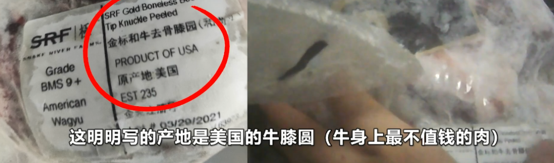 春城晚报(微信)