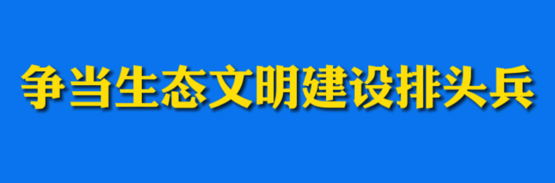 丽江日报(微信)