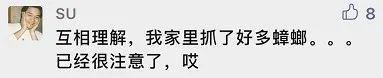 春城晚报(微信)