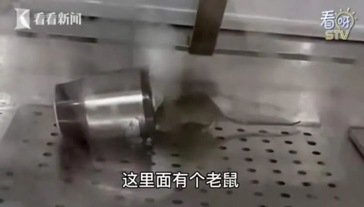 春城晚报(微信)
