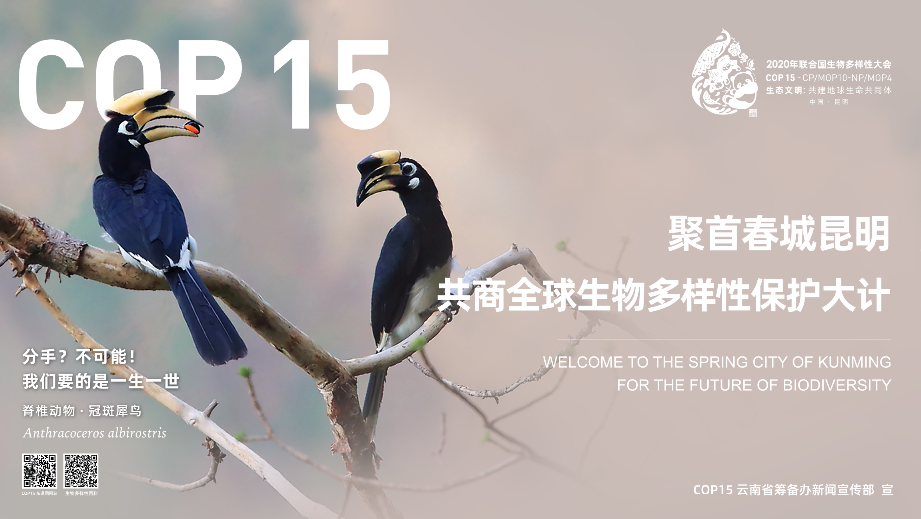 昆明市西山区图书馆(微信)