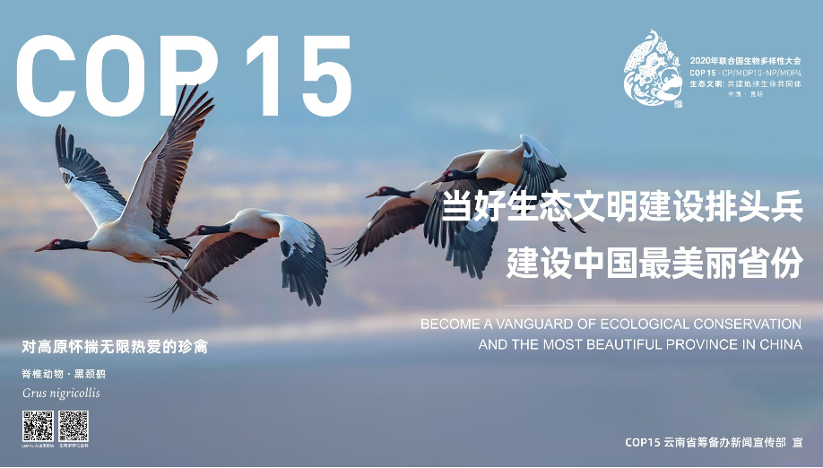 昆明市西山区图书馆(微信)