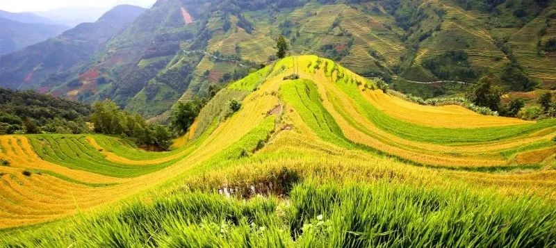 红河文旅(微信)