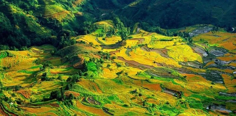 红河文旅(微信)