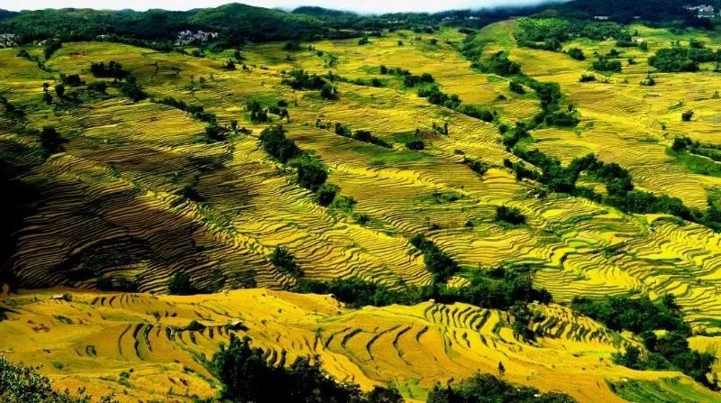 红河文旅(微信)