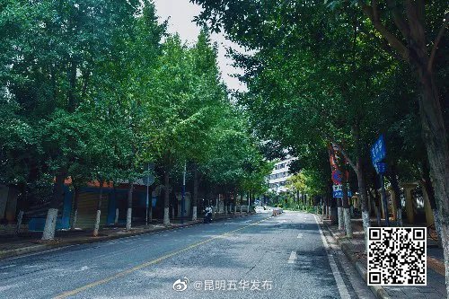 “昆明五华发布”微博