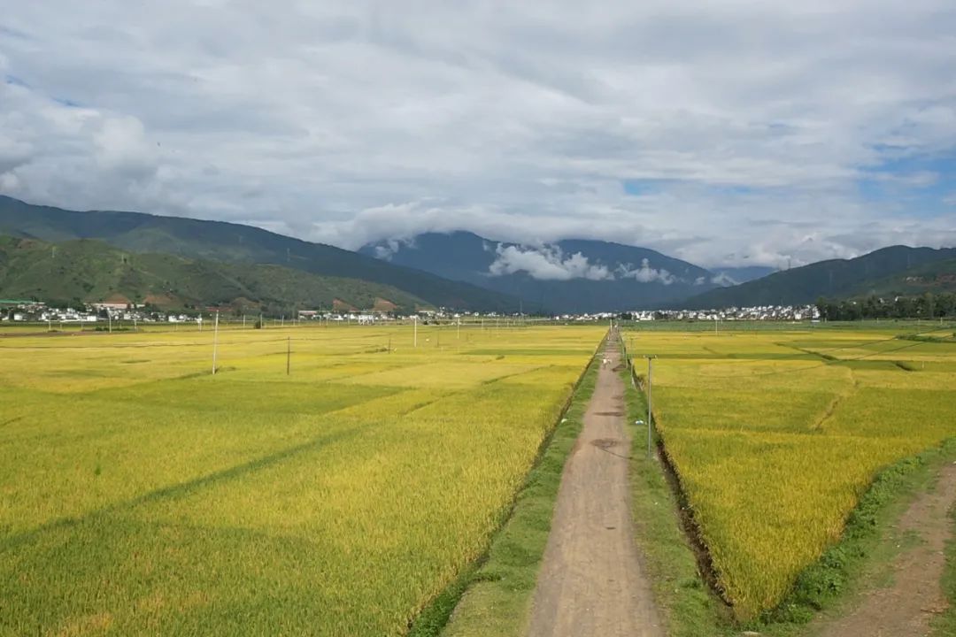 丽江日报(微信)