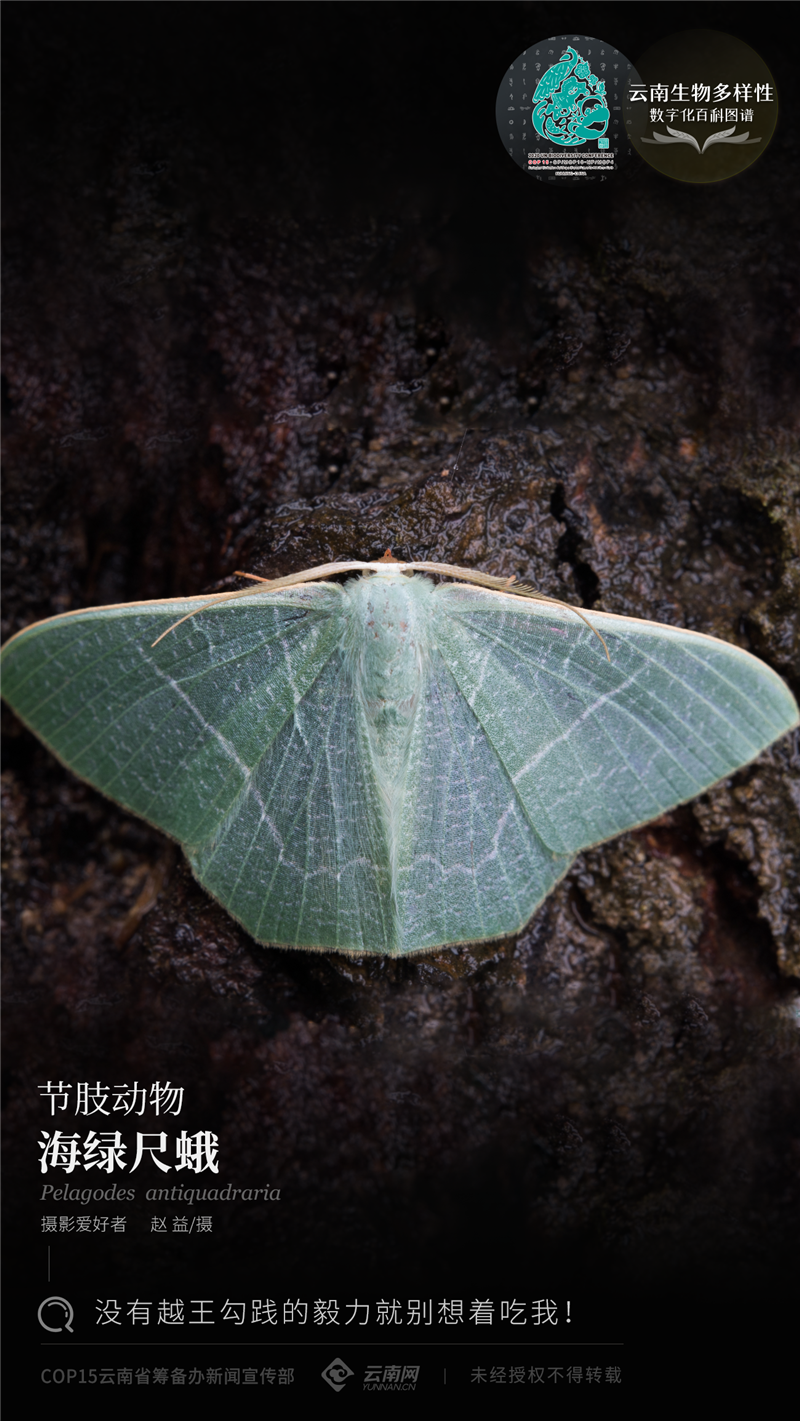 云南省人民政府网