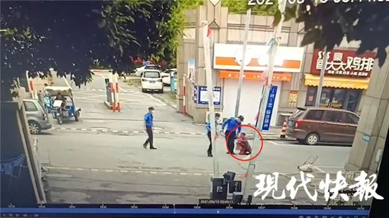 春城晚报(微信)