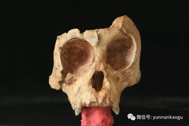 云南广播电视台(微信)