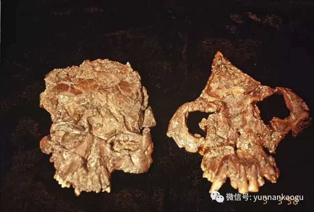 云南广播电视台(微信)