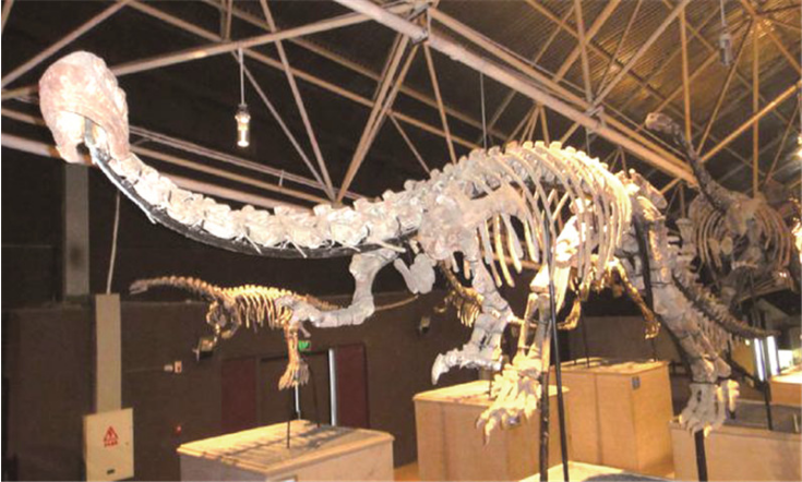 云南广播电视台(微信)