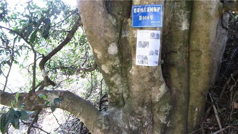 云南广播电视台(微信)