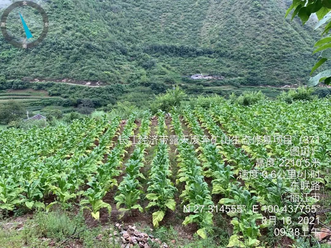丽江日报(微信)